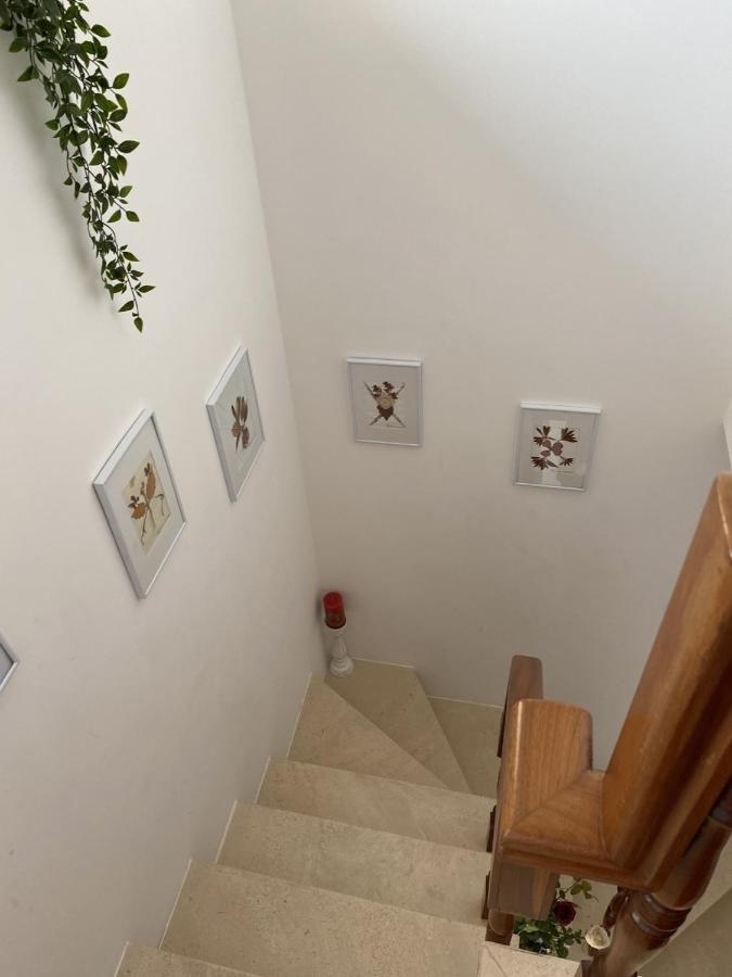 Appartamento Casa da Avó Fátima Góis Esterno foto
